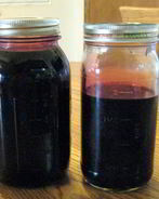 Сироп шелковицы