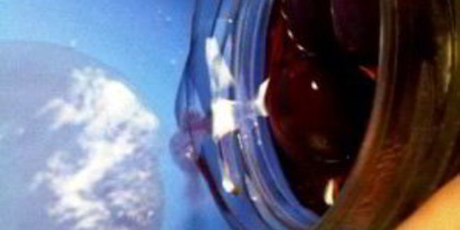 Рецепт сливы в сиропе на зиму