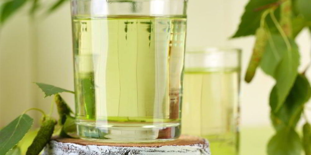 Как приготовить вино из березового сока без кипячения