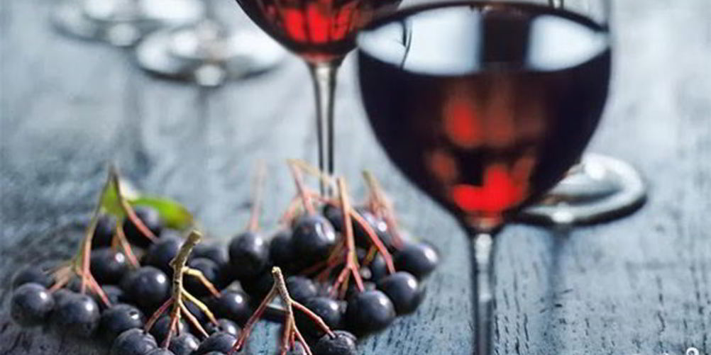Как приготовить вино иза черной рябины