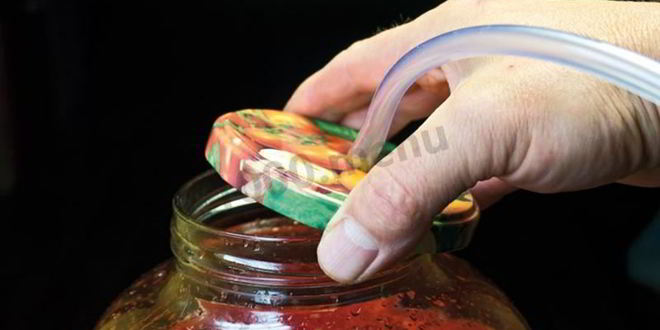 Рецепт вино из клубники клубничное