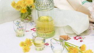 Рецепт Вино из одуванчиков