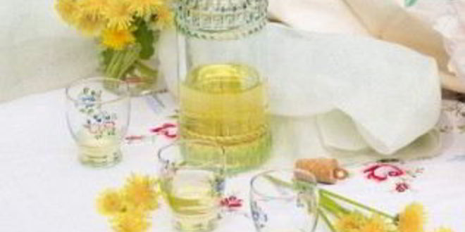 Рецепт вино из одуванчиков