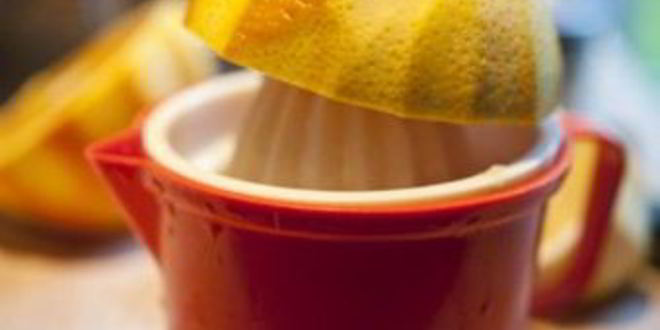 Рецепт вино из одуванчиков