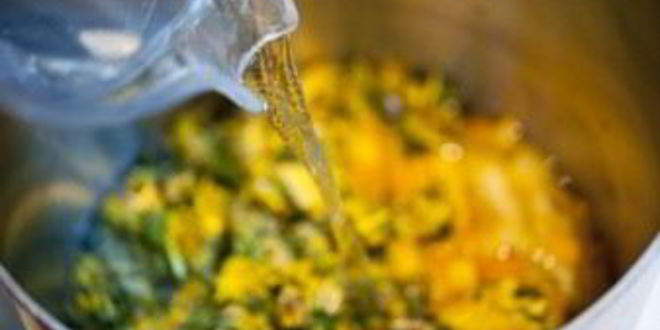 Рецепт вино из одуванчиков