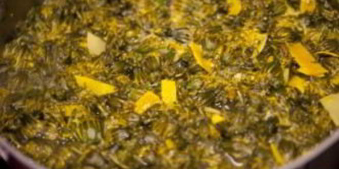 Рецепт вино из одуванчиков