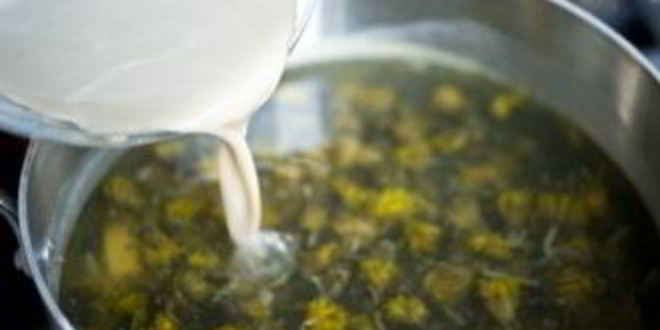 Рецепт вино из одуванчиков