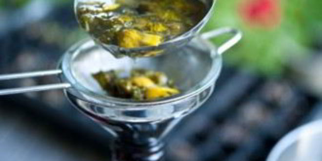 Рецепт вино из одуванчиков