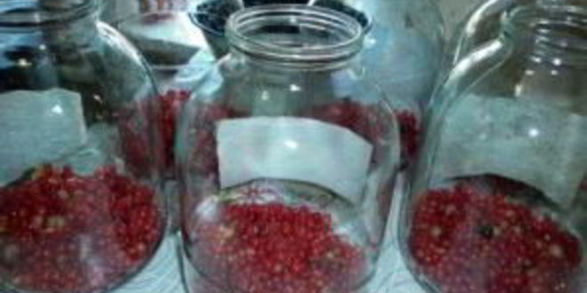 Рецепт вино из смородины