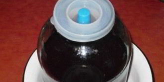 Рецепт вино из ягод