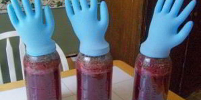 Рецепт вино из жмыха