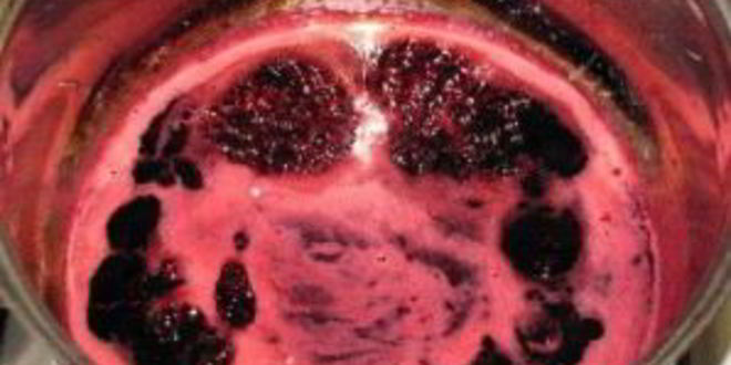 Рецепт вишня в сиропе с косточкой