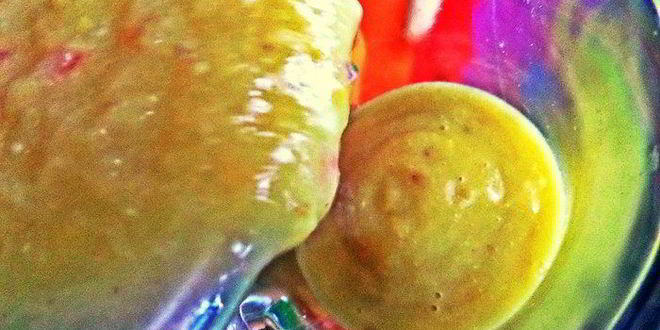 Рецепт яблочный густой коктейль с авокадо и персиком