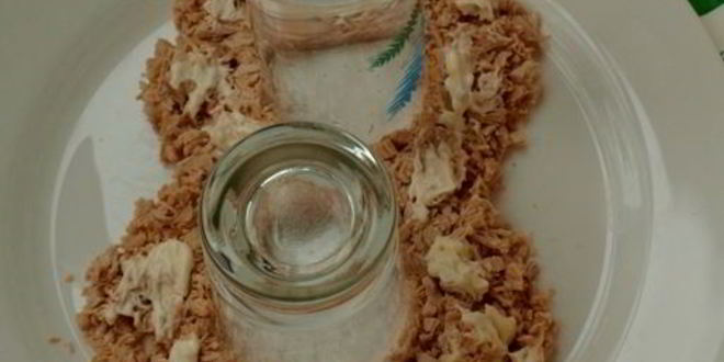 Рецепт салат 8 марта