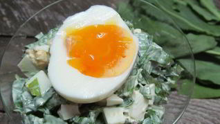 Рецепт Салат из щавеля с яйцом