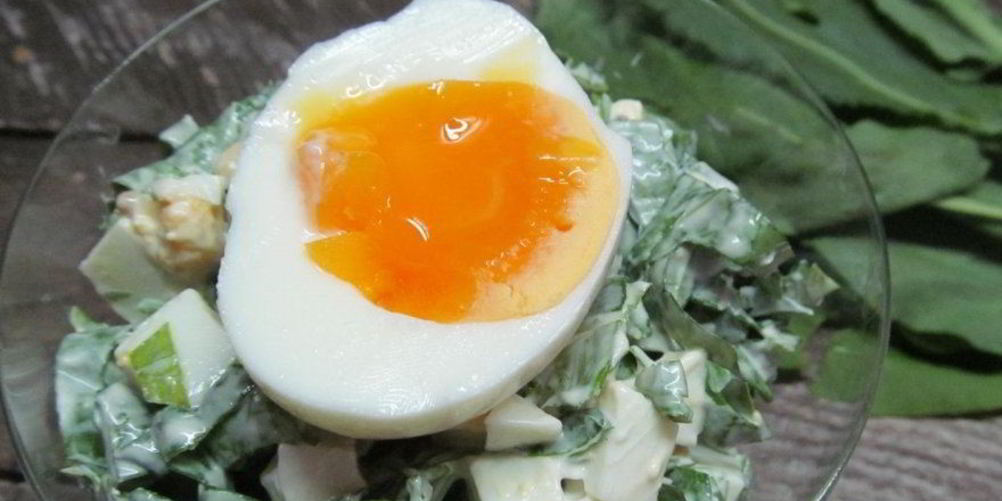 Как приготовить салат из щавеля с яйцом