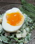 Салат из щавеля с яйцом