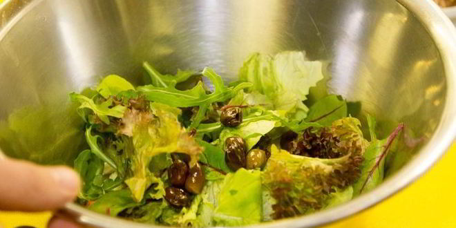 Рецепт салат с тунцом