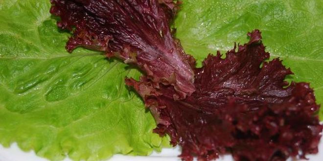 Рецепт салат среда