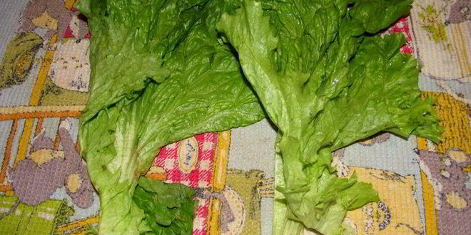 Рецепт салат цезарь с креветками