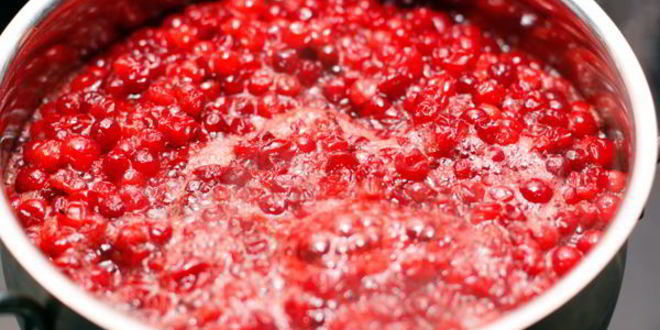 Рецепт брусничный соус к чему угодно