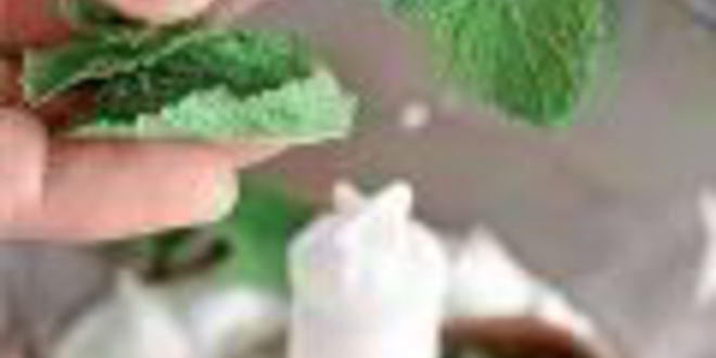 Рецепт соус из йогурта с мятой и анчоусами