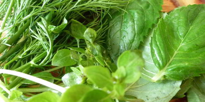 Рецепт соус к мясу из жимолости