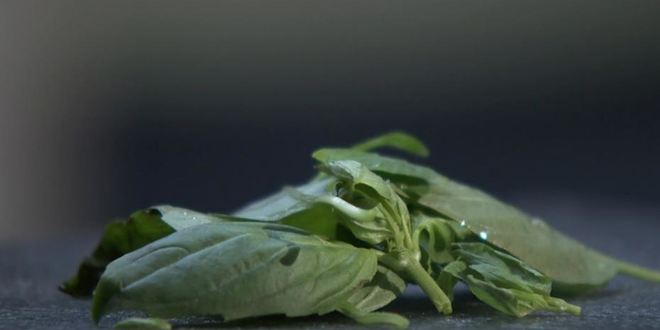 Рецепт соус провансаль