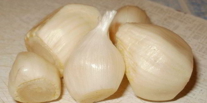 Рецепт борщ из капусты