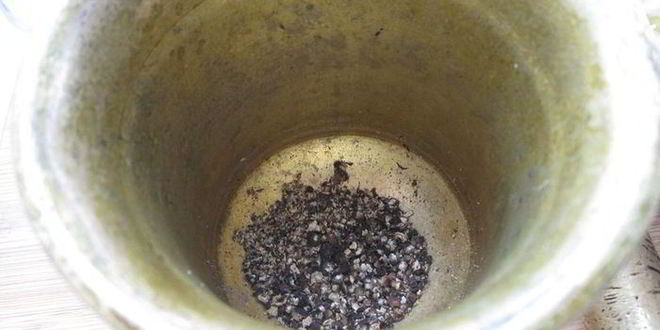 Рецепт борщ с капустой