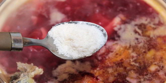 Рецепт борща с курицея