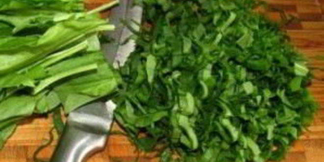 Рецепт борща со щавелема и свеклоя