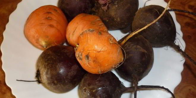 Рецепт борщ-экспромпт без капусты