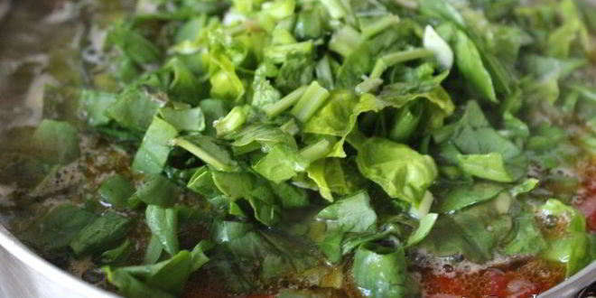 Рецепт осенний зеленый борщ