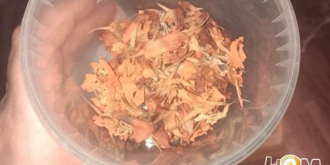 Рецепт осенний желтый борщ