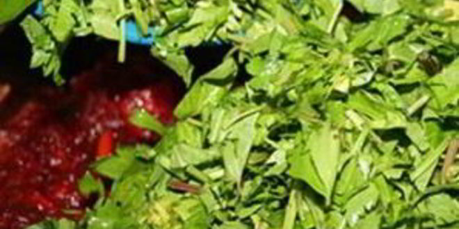 Рецепт заправка для борща