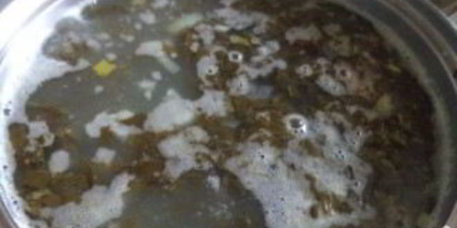 Рецепт зеленый борщ с консервированным щавелем