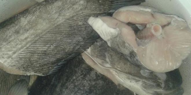 Рецепт зеленый борщ с сомом