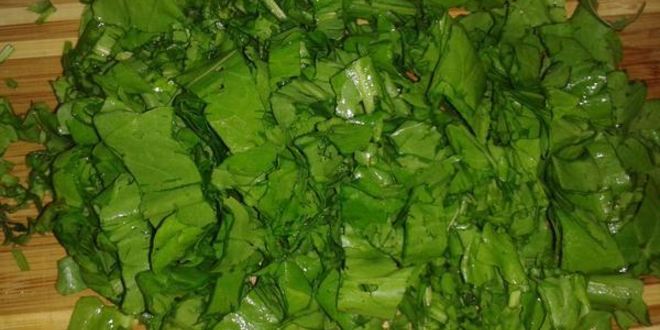 Рецепт зеленый борщ с сомом