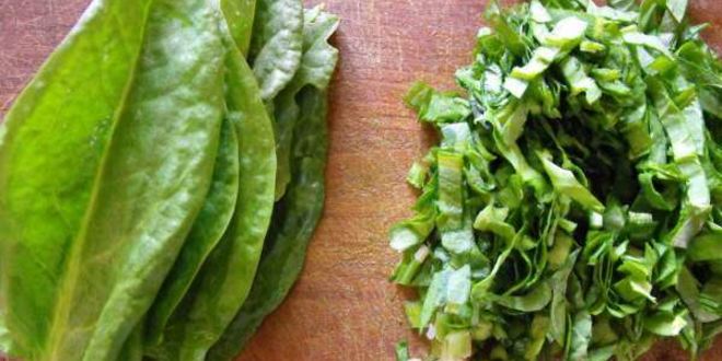 Рецепт зеленый борщ