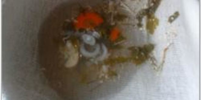 Рецепт рыбный бульон