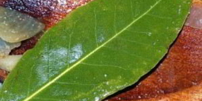 Рецепт быстрый картофельный суп-крем