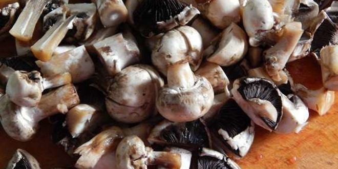 Рецепт гречневый суп с грибами