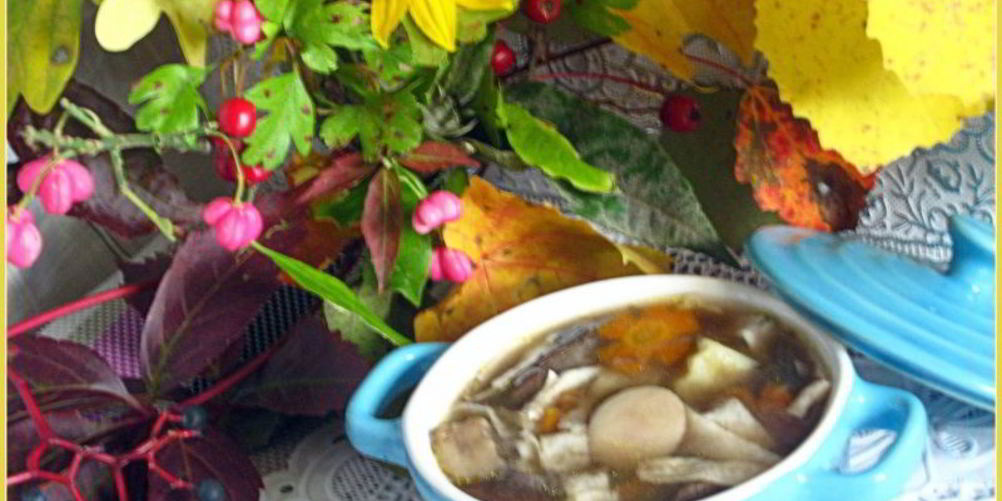 Рецепт куриный суп с баклажанами и лапшой зеленый чай