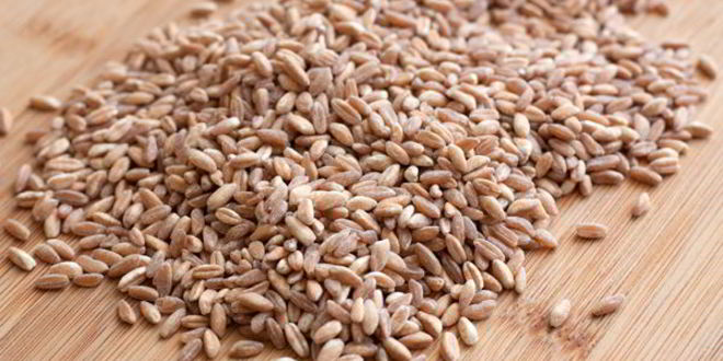 Рецепт грибной суп с перловкой