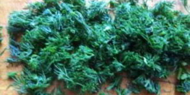 Рецепт картофельный суп с грибами