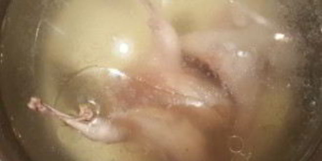 Рецепт луковый суп в горшочках