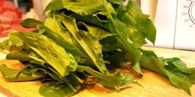 Рецепт щавелевый суп