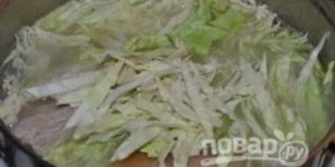 Рецепт щей иза свежея капуст