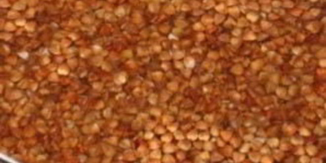 Рецепт суп из белых грибов